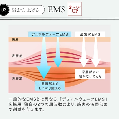 ステラボーテリフトブラシプロ　EMS